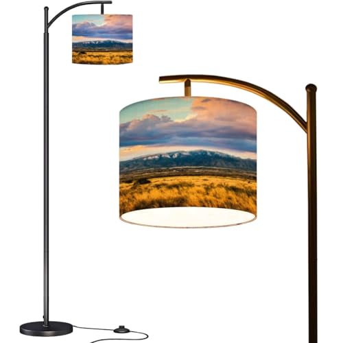 BVCAHSAW Arc Floor Lamp Sandia Mountains Sky Clouds Modern Tall Standing Lamp Dimmable with Remote Adjustable Drum Shade Footswitch for Living Room Bedroom Office BVCAHSAW Arc Floor Lamp Sandia Mountains Sky Clouds Modern Tall Standing Lamp Dimmable with Remote Adjustable Drum Shade Footswitch for Living Room Bedroom Office