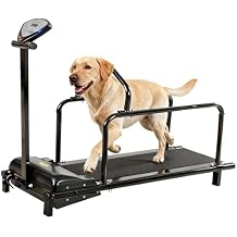 Dog Treadmill, Slatmill for Dogs with Safe Indoor Design, Adjustable Speeds, Display Screen, Quiet Motor, Pet Running Machine for Small/Medium Dogs
