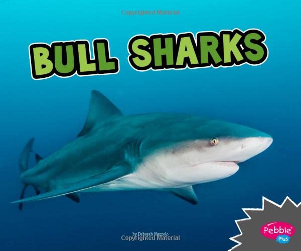 Bull Sharks (All About Sharks)