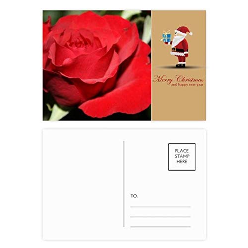 Cartes postales de Père Noël rouges (lot de 20) pour vœux de fin d'année