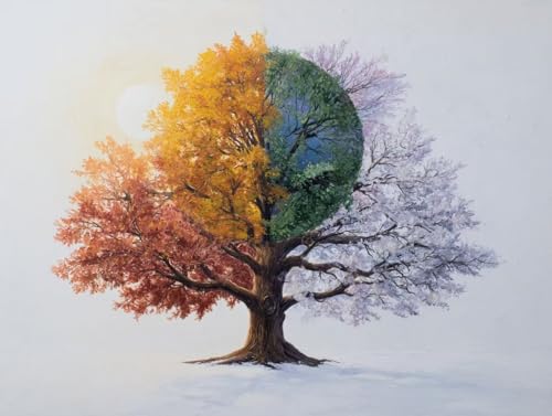 �������G �J���[�c���[ �A�N�����G�̋� �Z�b�g�ƃu���V�t�� DIY Paint by Numbers �������G ��l�p ���S�� ����G��L�����o�X �h��G ���� �A�[�g�N���t�g �z�[���f�R���[�V���� �v���[���g�C���e���A �Ǐ��� 50x70cm (�t���[