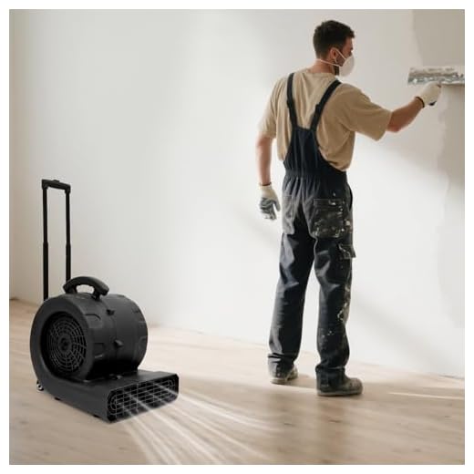 Portable 3-Speed Air Mover for Quick Drying
