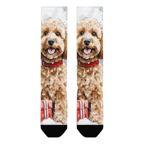 Smiling Dobermann Dog Crew Socks for Men Women Casual Socks for Soccer Running Hiking4