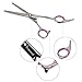 ColorPet Curved Scissor Set- Perfect For Pet Grooming, Durable Stainless Steel by ColorPet