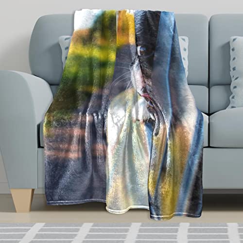 Couvertures en microfibre légères contre le froid pour des nuits apaisantes - 6