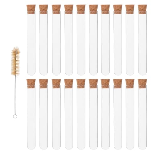 Ciieeo 20 PcsKX RNt uVt \ pt ۊǗp Ȋw  Ntg Ή