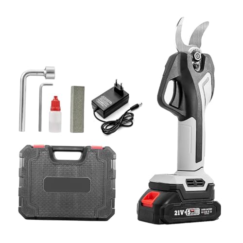 dCnT~K[fVA[Yc[21Vobe[ڃP[X