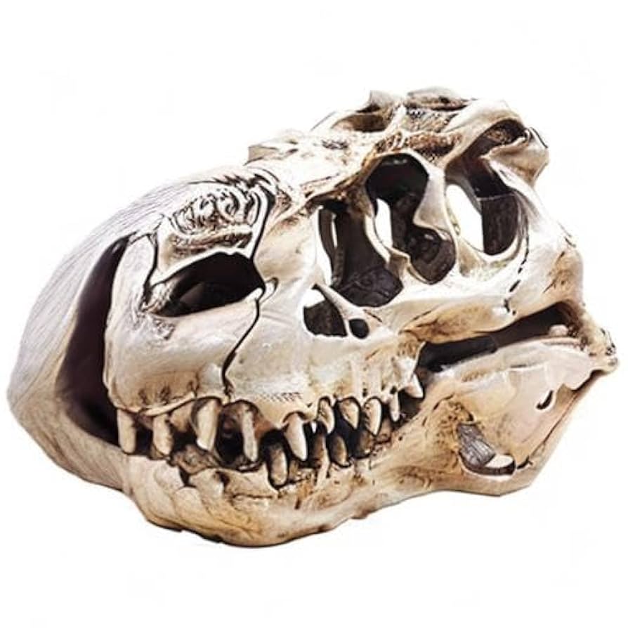 THE SKULL DISK DAMNGOOD!! × NATURE TONES Grateful-Dead-Full-Color-Neo-