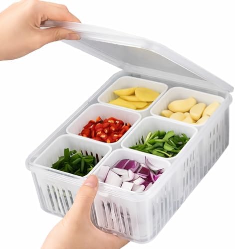 Organizador de Geladeira com Tampa e Divisórias I Porta Alimentos...