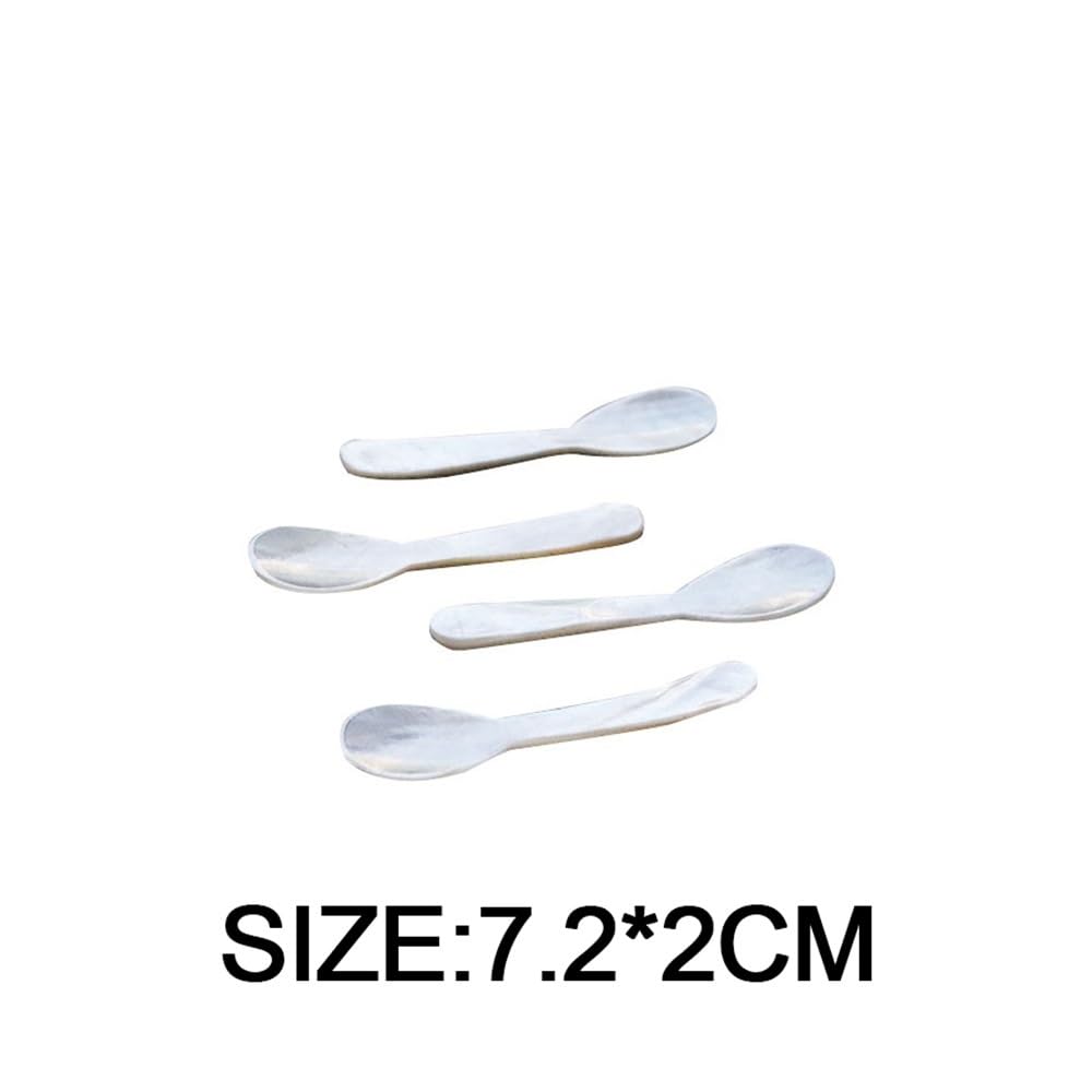 Lot de 8 cuillères à café en coquille de conque naturelle de 7,2 cm - Cuillère à café en nacre - Coquillages