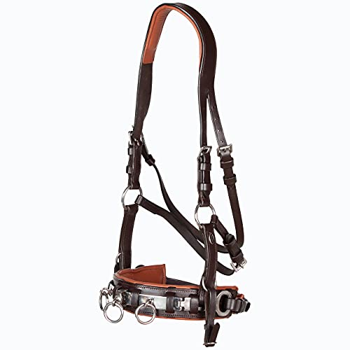 Foto von Heinick-Reitsport Profi Leder KAPPZAUM Edelstahl mit Gebissriemen Naseneisen ~ Braun-Chestnut ~ Vollblut