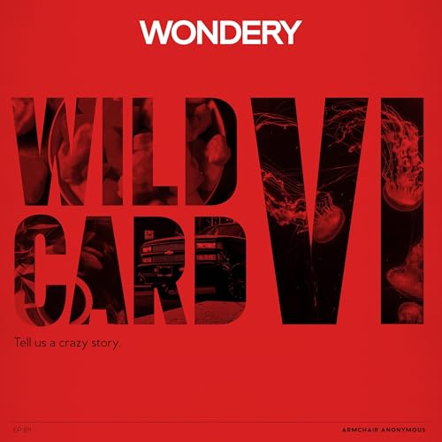 Armchair Anonymous: Wild Card VI cover art