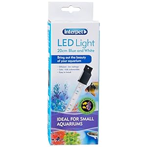 Interpet Kids Glow White and Blue LED Light for Aquarium