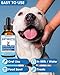 SANTKOL Natural Antibiotics for Dogs - 60ML Dog Antibiotic Drops - Itchy Skin Relief - Allergy Relief - Immune Support - with Organic Natural Ingredients - Bacon Flavor