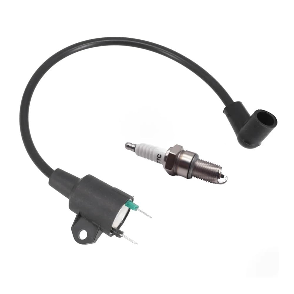 Bobine d'allumage 145F pour réparer un générateur 2 temps qui ne démarre plus