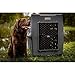 Dakota 283 Crate - Canine Rough and Tough Economy Kennel (Olive, X-Large)
