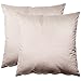 Funda cojin Paquete de 2: 50 x 50 cm - Funda Almohada Terciopelo Decorativa Fundas Cojines Modernas algodón Beige Terciopelo