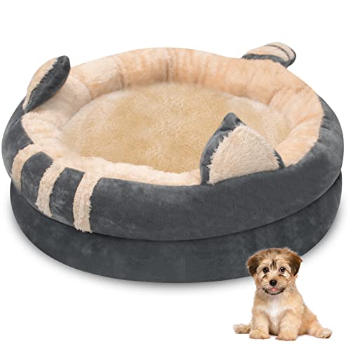 Cama moderna para gatos y perros Cover