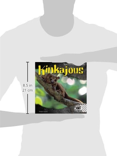 Kinkajous (Nocturnal Animals)