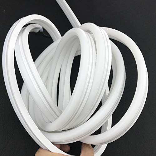 WENWENLEE 10mm*23mmm Size,5m DC12V WS2815 60LEDs/m addressable LED Smart Pixel neon Strip;Flexible;IP67 Rated;13.5mm pigtials