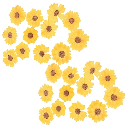 Flores Secas Decorativas para Manualidades DIY miniatura 1
