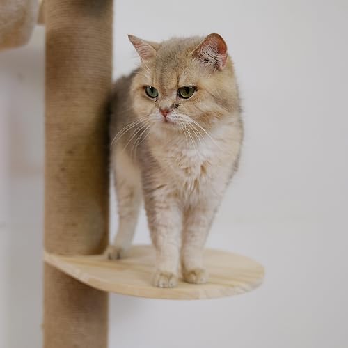 Accesorio Plataforma Salto para Árbol Gatos Piso a Techo miniatura 7