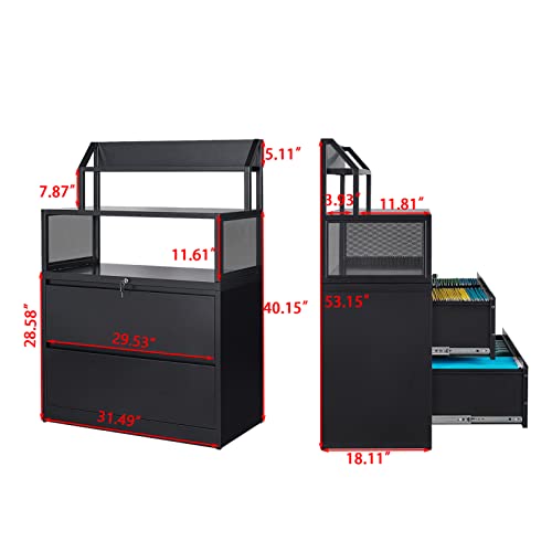 Wiilayok Lateral File Cabinet With Lock, 2 Drawer File Cabinet For Home And Office, Lateral Locking Filing Cabinet With Storage Shelves, Filing Cabinet Fits Letter/Legal/A4 Size #TOP1