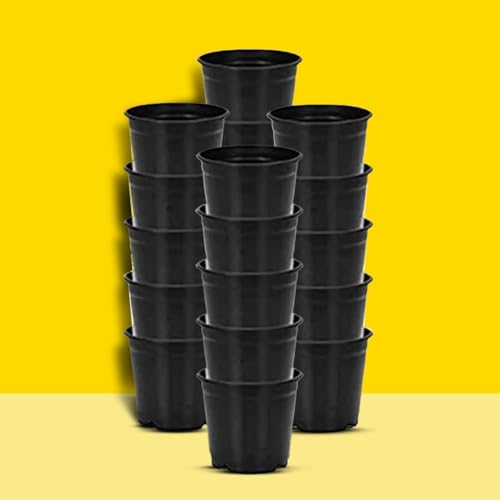 90% OFF: Get 10 Black Plastic Flower Pots for ₹199 (MRP ₹1999) - Ideal for Indoor & Outdoor Gardening