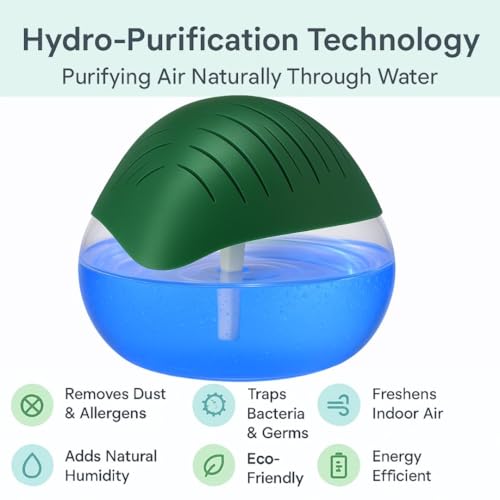 Image of Humidifier, Hygiene Portable Room Air Purifier Revitalizer Wooden Aroma Diffuser, Run Time: 16 Hours- Perfect for Living Rooms, Kitchen, Office & Hotels (Capacity: 750ml, Light Green)
