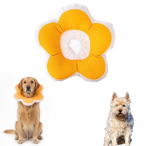 エリザベスカラー 犬用健康管理用品 l」の人気商品一覧 | 安い商品を