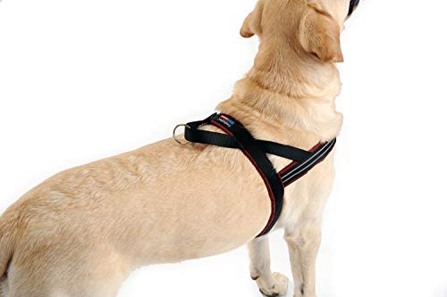 Amazon | Comfortflex コンフォートフレックス ロングセラー 犬用