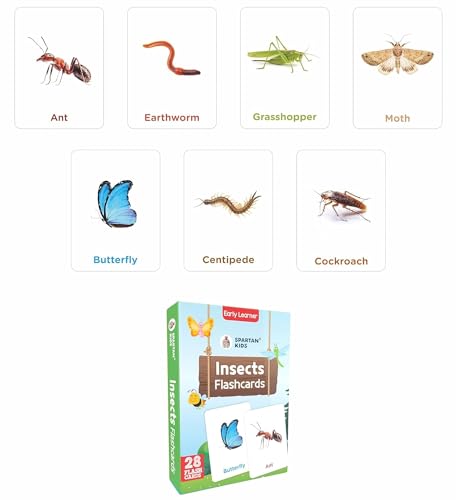 Image of Spartan Kids Flash Cards for New Born Baby, Flash Cards for 1 Year Old Baby and 3+ Year Old Set of 25 Combo Set