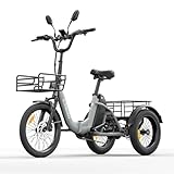 cysum AG1 Pro Tricycle électrique pour Adultes, vélo électrique Pliable 16'', Batterie 48V 20Ah, Vitesse maximale de 25 km/h et autonomie de 80 km, Frein à Disque hydraulique et différentiel