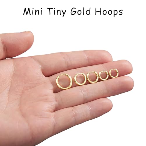 Gokeey Kleine goldfarbene und silberne Creolen für Damen und Herren, hypoallergene 316L chirurgische Edelstahl-Ohrringe für empfindliche Ohren, niedliches Knorpel-Helix-Ohrring-Set für mehrere