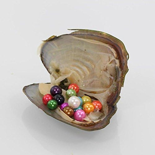 1PC Pearl Oyster with 25PC Love Wish Round Pearls Rainbow Bulk Inside Freshwater Cultured Huge Monster Oyster, 25 Colors (7-8mm), Birthday Mother Gifts Pearl Party