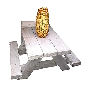 Eekhoorn Feeder, eekhoorn picknicktafel Feeder met maïskolven houder, eekhoorn geschenken voor buiten, grappige duurzame eekhoorn benodigdheden