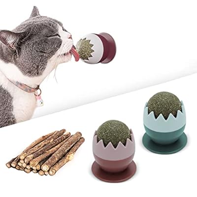 Esteopt 12Pcs Catnip Balls Toy for Cats, Catnip Wall Ball Toys, Natural Teeth Cleaning Dental Kitten Toy, Rotatable Edible Kitty Toys for Cats Lick
