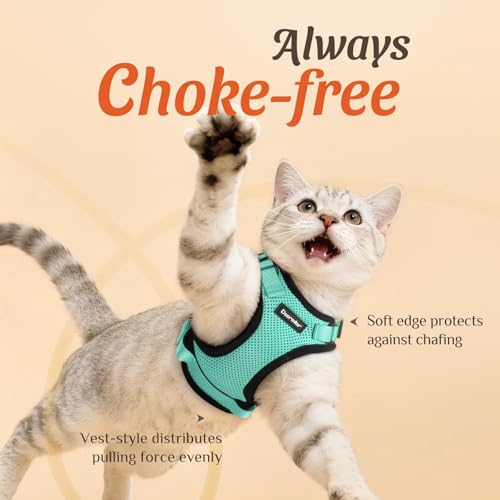 Image of Dooradar Cat Harness and Leash Set, Escape Proof Safe Adjustable Kitten Vest Harnesses for Walking, Easy Control Soft Breathable Mesh Jacket with Reflective Strips for Cats, Green, XS