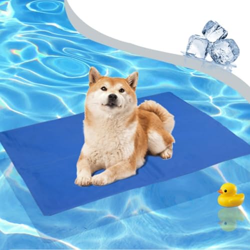 ybgЂ}bg QWF,  K, 􂦂 ⊴WF}bg ^ ^ EL p, pr, ܂, JԂp\(30X40CM)