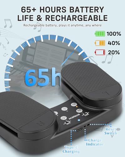 Strich SPT-10 Wireless Page Turner Pedal For Ipad, Rechargeable Music Page Turner Pedal, Usb Silent Foot Pedal thumb #3