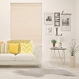 Calyx Interiors Cordless Fabric Roman Shades Light Filtering with White Backing, Pebble Beach, 34.5...