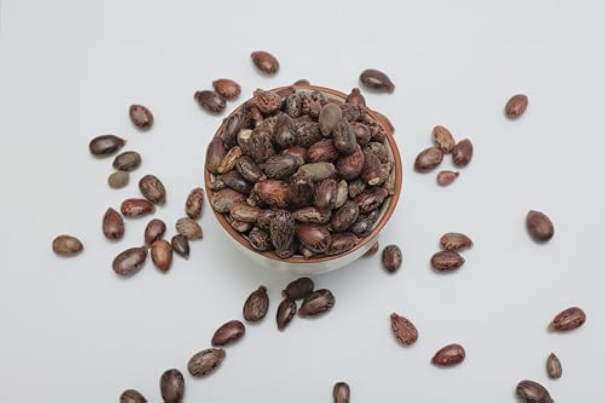 OGOC Natural Castor Seeds, 100g