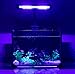 hygger 9.7 Inches Blue White LED Aquarium Light Clip on Small Led Light for Planted Saltwater Freshwater Fish Tank with Gooseneck Clamp 13W