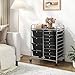 TANGZON 12 Drawers Storage Cart, Rolling Utility Cart with Lockable Wheels, Multipurpose Mobile Trolley Organizer for Home Office Stationery Beauty Salon (Black, 63 x 37 x 75cm, 2 Sizes Drawers)
