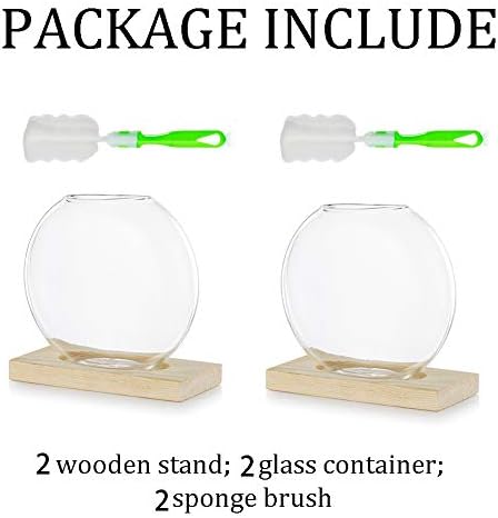 Wisząca szklana donica stołowa, 2 stacje rozmnażające, nowoczesny wazon na pąki kwiatów w drewnianym stojaku, terrarium do sadzonek roślin hydroponicznych, dekoracja domu, prezent dla miłośnika roślin