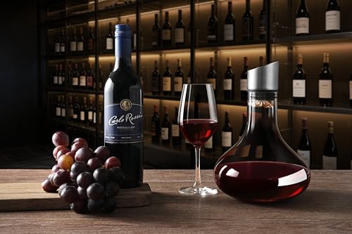 Weindekanter, Rotweinkaraffe, Dekanter mit integriertem Belüfterausgießer, 100% mundgeblasenes bleifreies Kristallglas mit Edelstahl-Ausgießer-Deckel, Filter, Weingeschenke für Männer