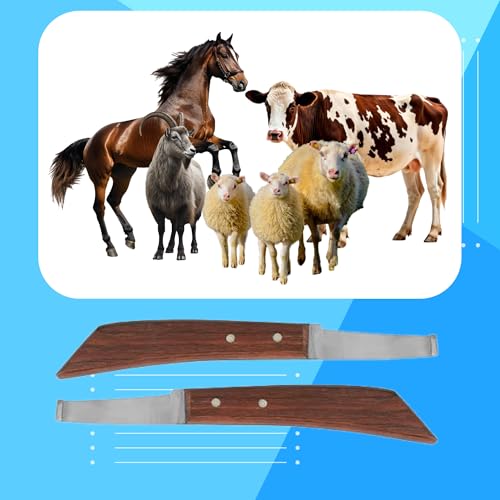 Image of Hoof Knife Single Sided Edge Wide Straight Blade - Stainless Steel Straight Blade Farrier Tool with Wooden Handle, Multipurpose Hoof Trimming Knife for Livestock, 3-Inch Blade, 8.5-Inch Overall