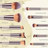 Makeup Brushes Set, HEYMKGO Portable Makeup Brush Set Professional Champagne Gold Premium Synthetic Foundation Brush Powder Concealers Eye Shadows Blush with Cosmetic Bag 10PCS Common Types - Image 3