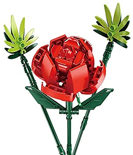 Botanical Ramo de Flores Set Cover