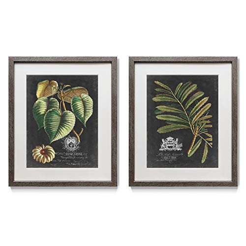 Renditions Gallery Royal Foliage II Framed Artwork Set, Colorful Botanical, Leafy Plant Art, Black, Green, Yellow, Distressed Silver Frame, White Mat, Plexiglass, 16 in W X 20 in H, Made in America